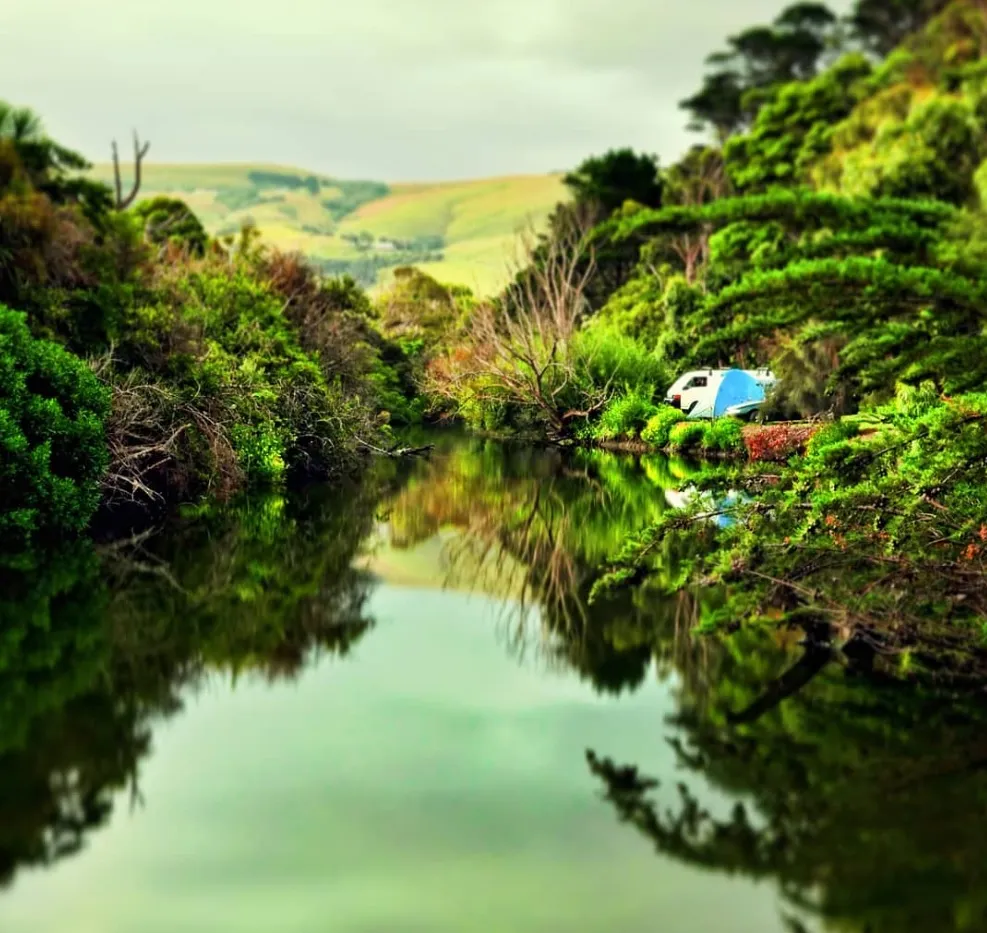 Apollo Bay Coastal Reserve