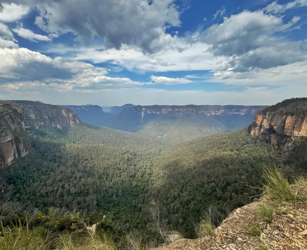 Blue Mountains National Park