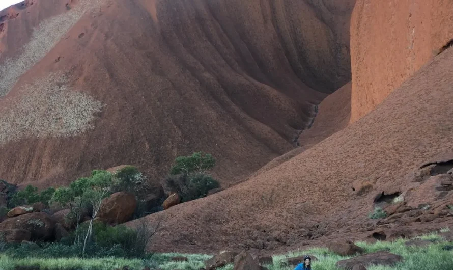 Cycling Trails Near Uluru: Exploring the Desert on Two Wheels