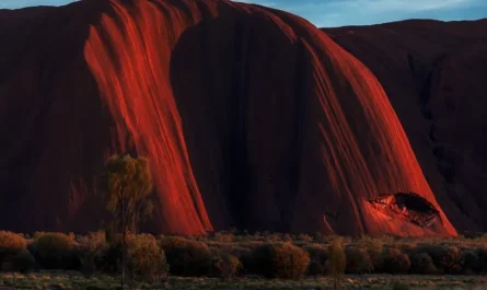 Educational Programs and Tours at Uluru