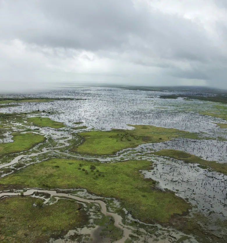 Flood Plains and Wetlands