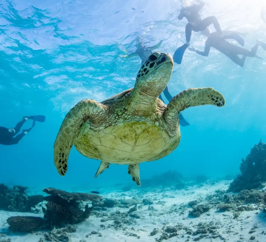 Ningaloo Reef