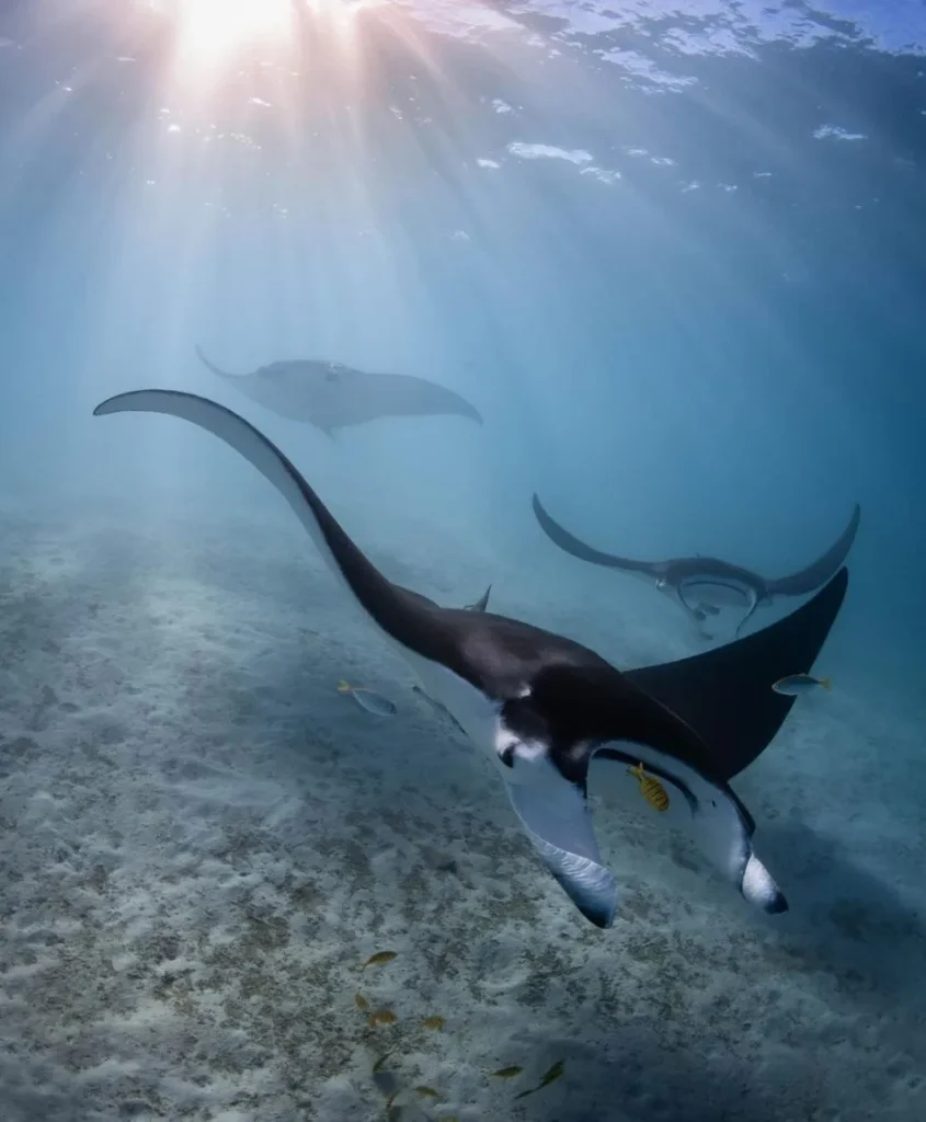 Ningaloo Reef