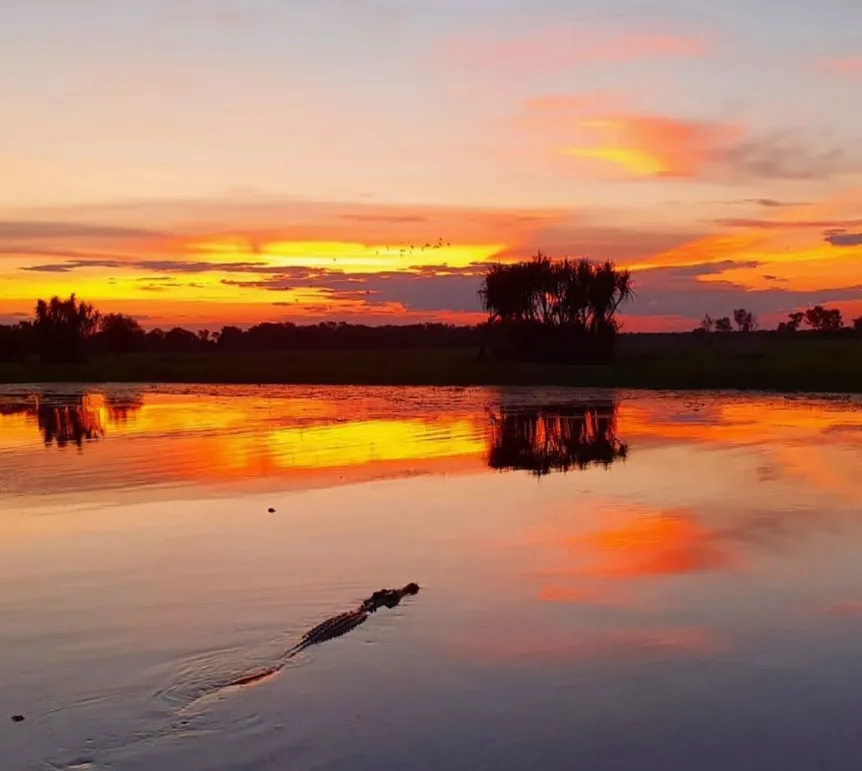 Yellow Water Billabong