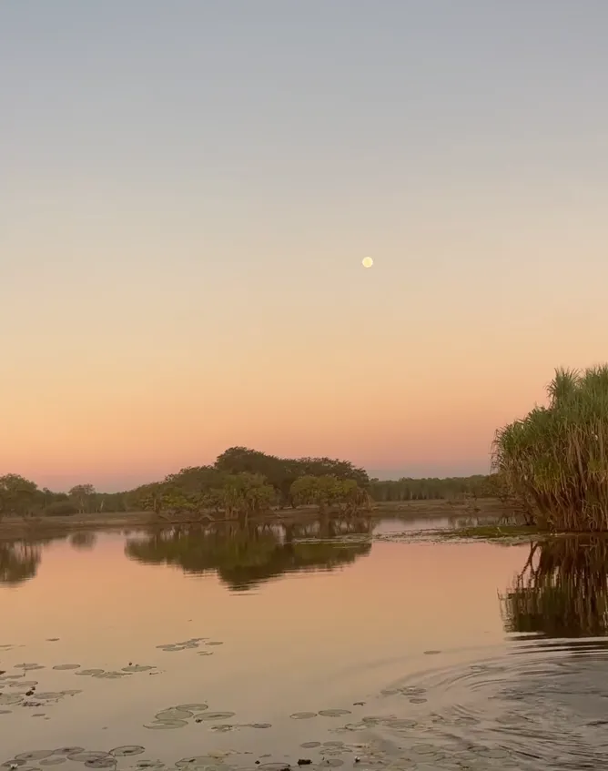 Yellow Water Billabong