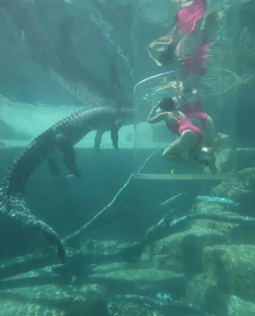 Crocosaurus Cove