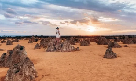 Activities at the Pinnacles Desert