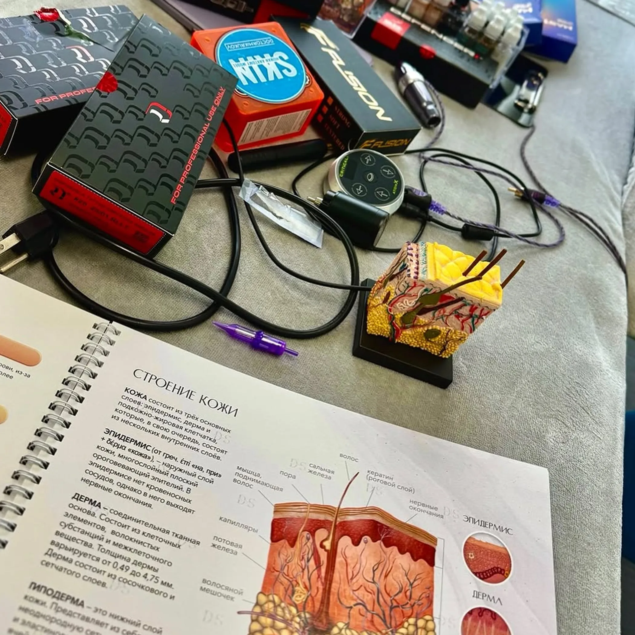 permanent makeup tools and anatomy book