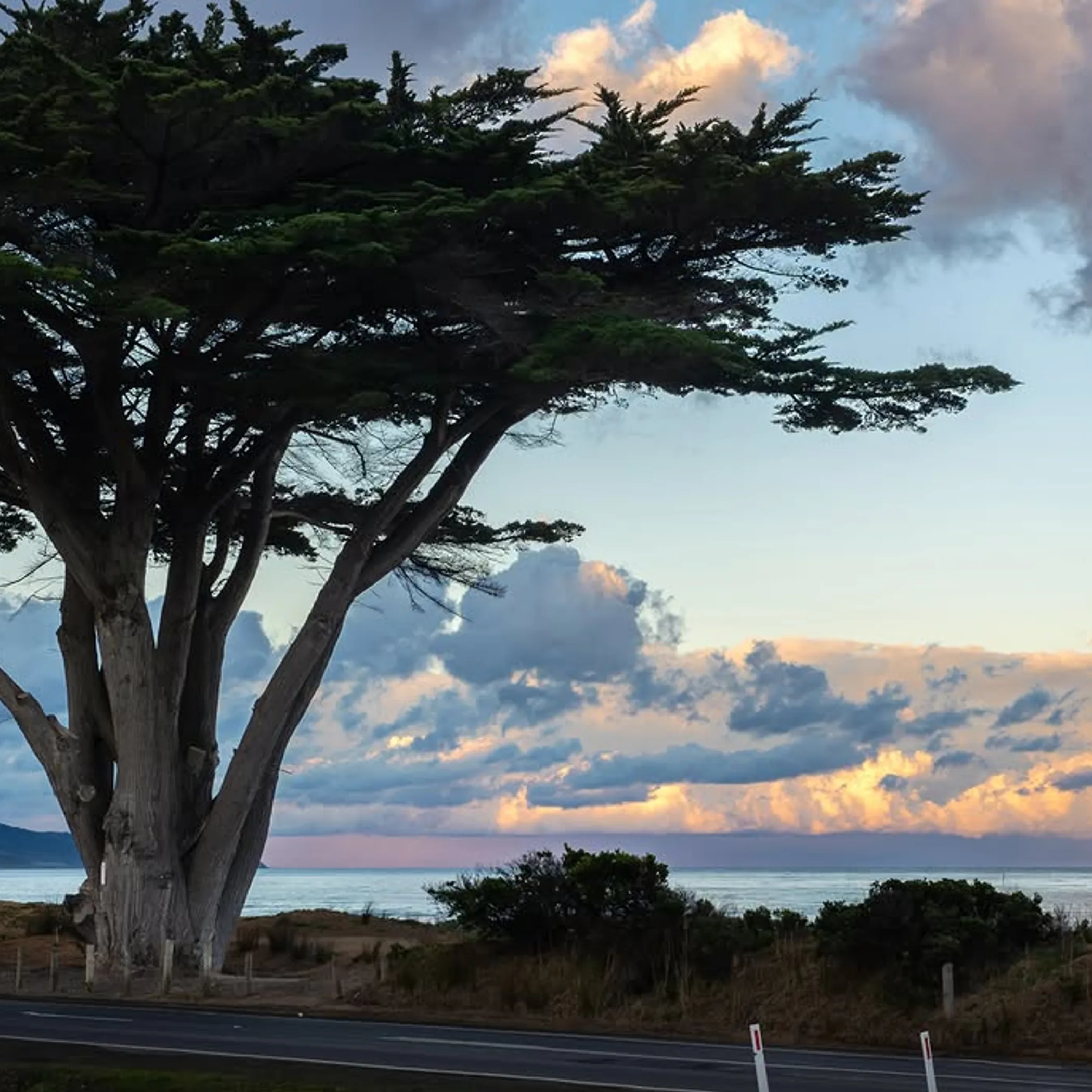 coastal view along great ocean road