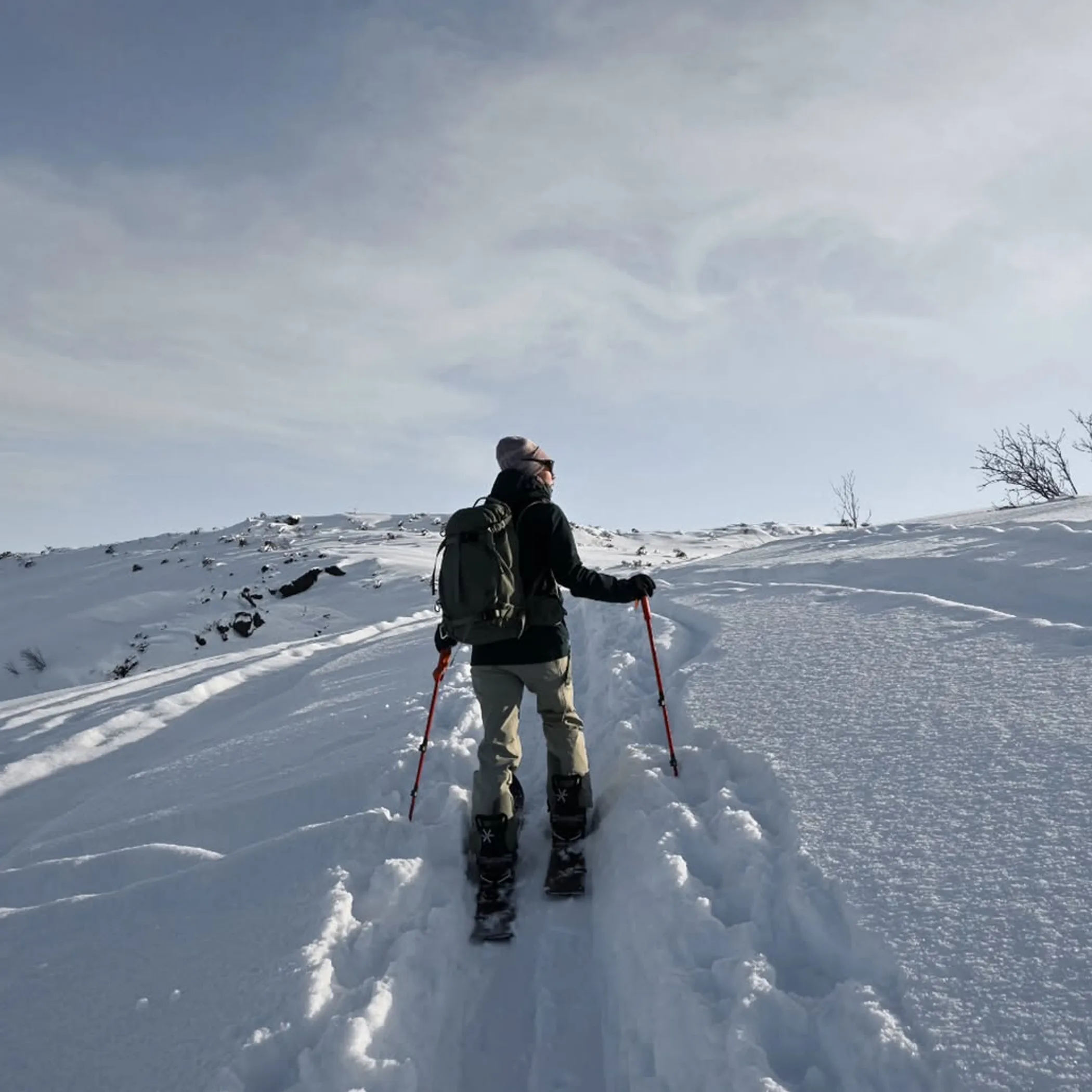 clear winter hiking trail landscape