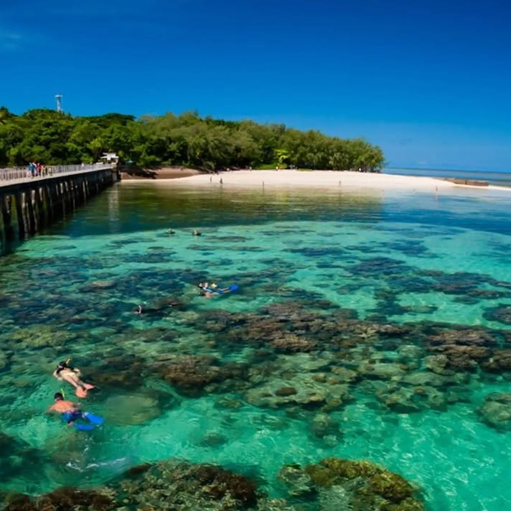 clear reef snorkeling photograph