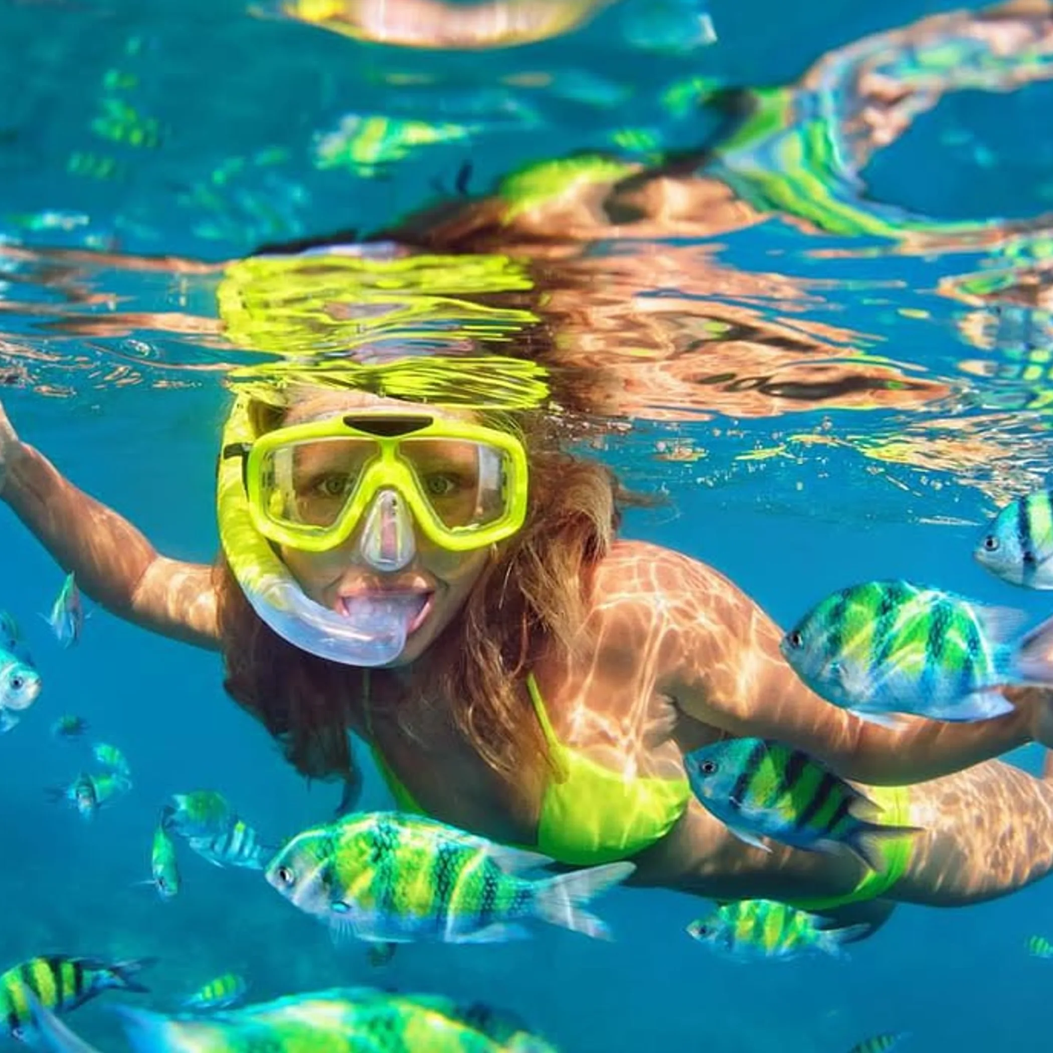 underwater snorkeling scene